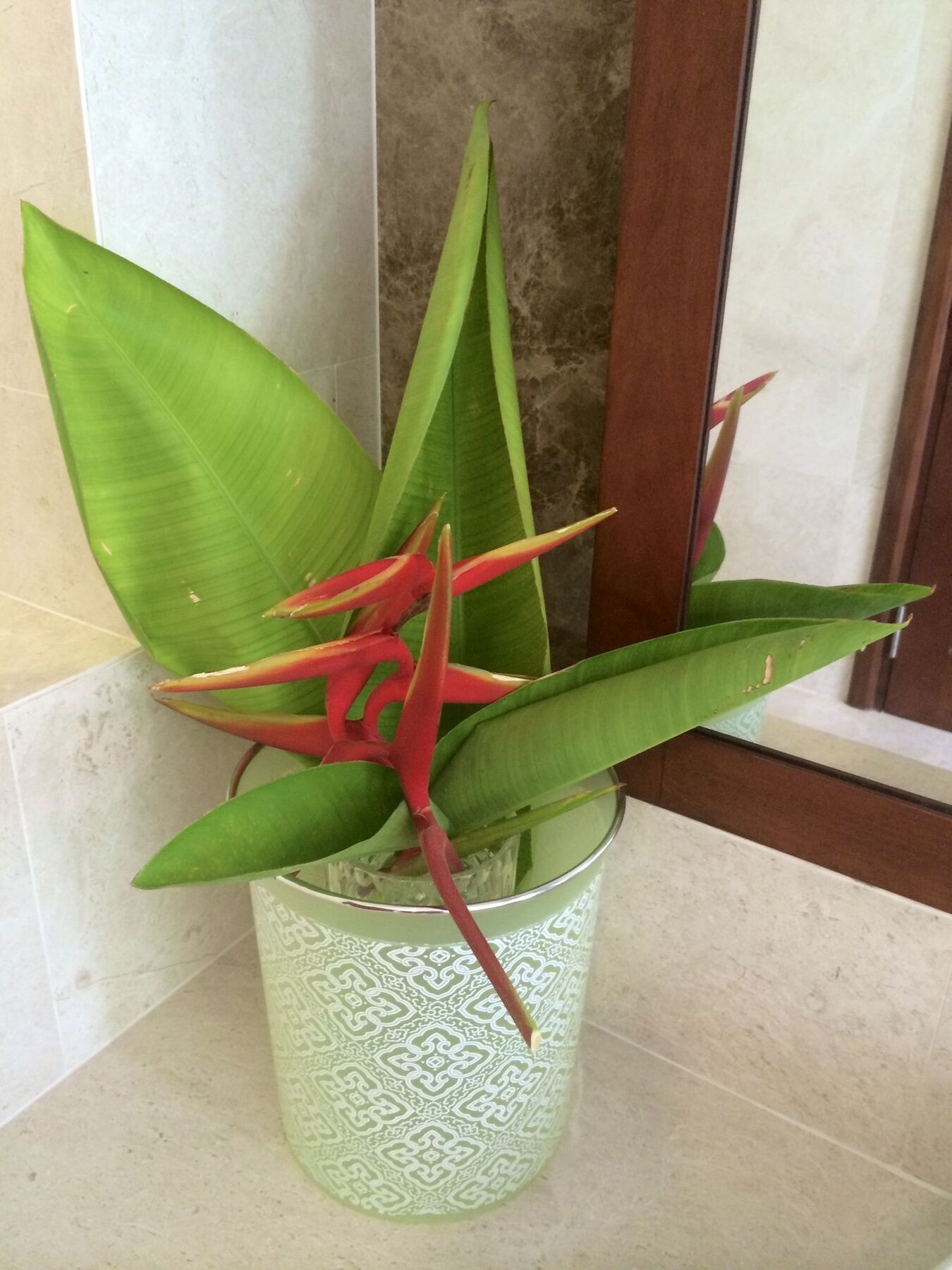 Pearl Paradise Villa Danang المظهر الخارجي الصورة